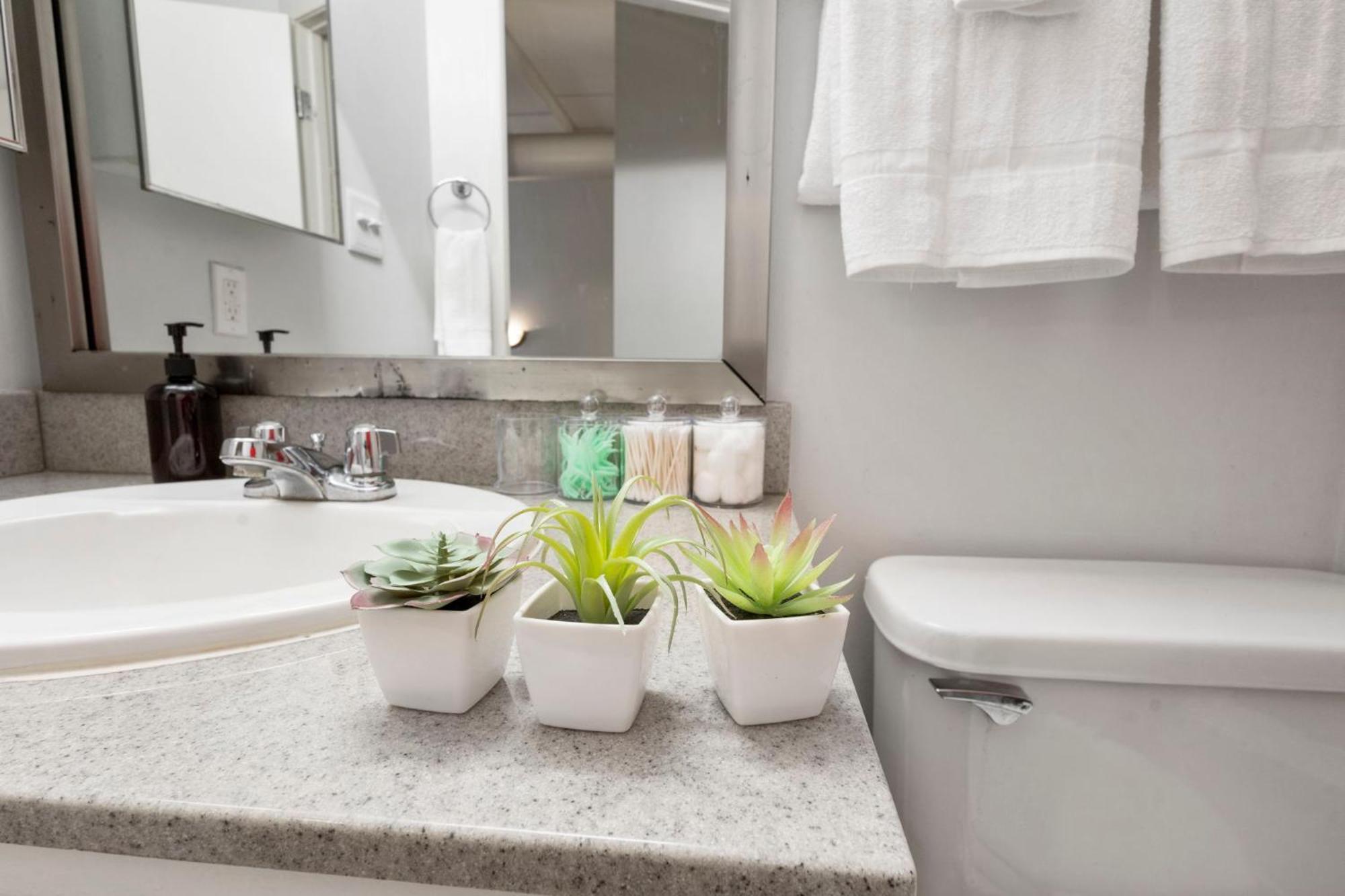 Indy City Loft - Convention Center - Sleeps 7 - Stadium Access Indianápolis Exterior foto